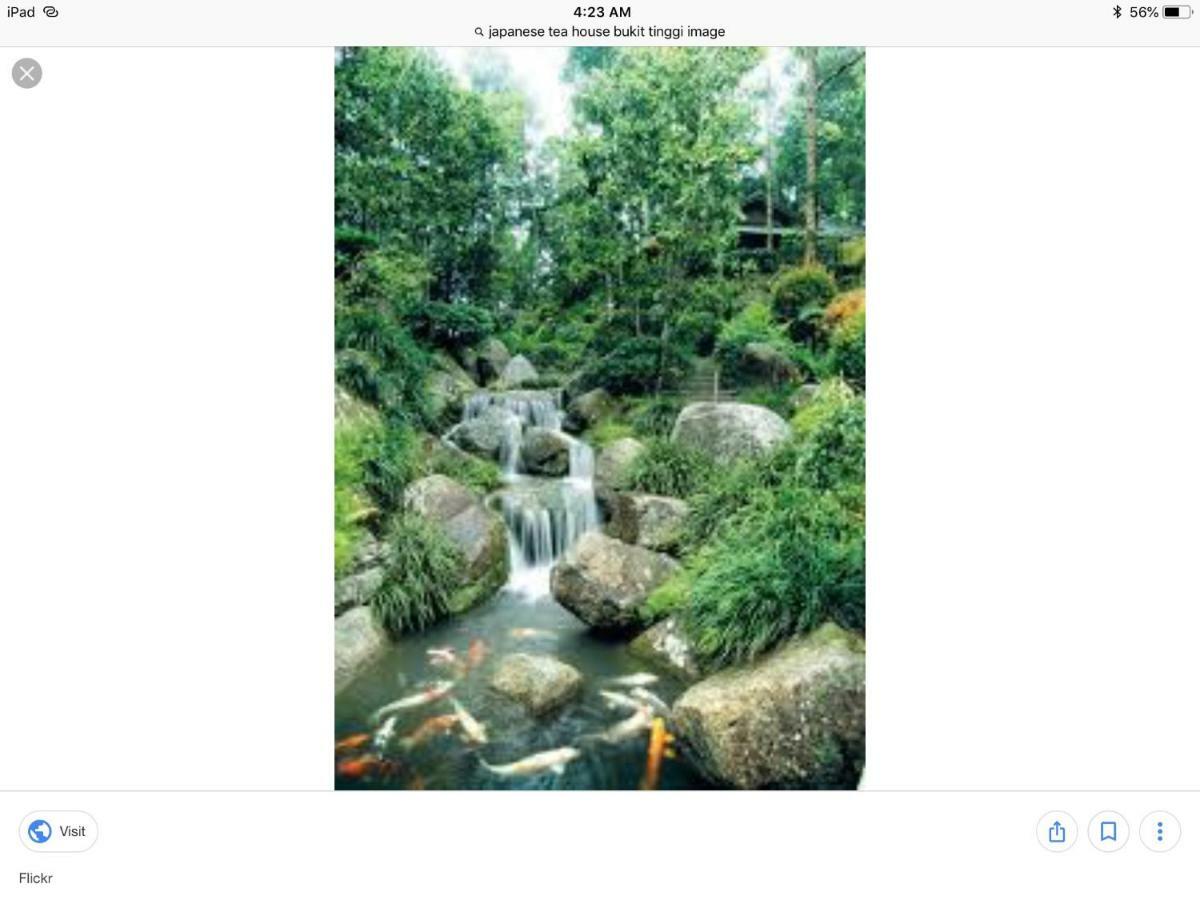 Bukit Tinggi Berjaya Hill Homestay المظهر الخارجي الصورة