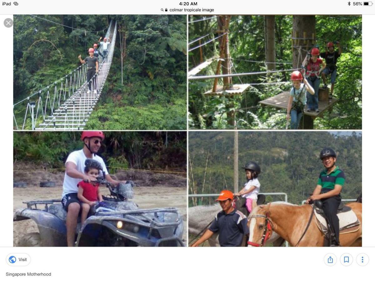 Bukit Tinggi Berjaya Hill Homestay المظهر الخارجي الصورة