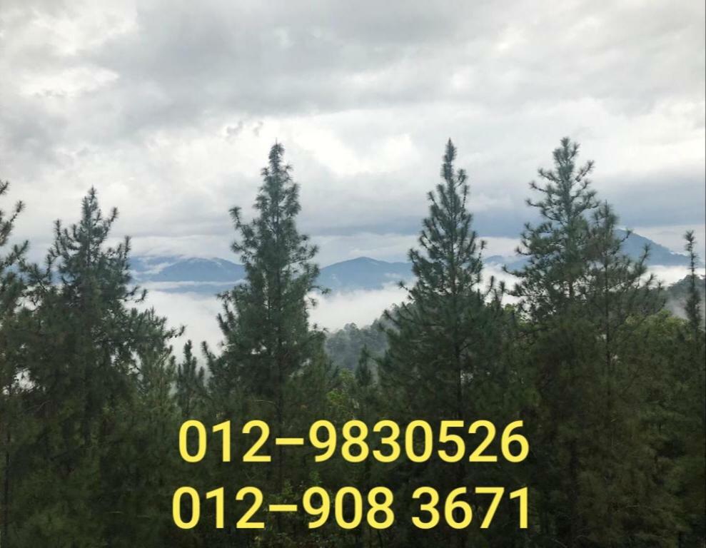Bukit Tinggi Berjaya Hill Homestay المظهر الخارجي الصورة